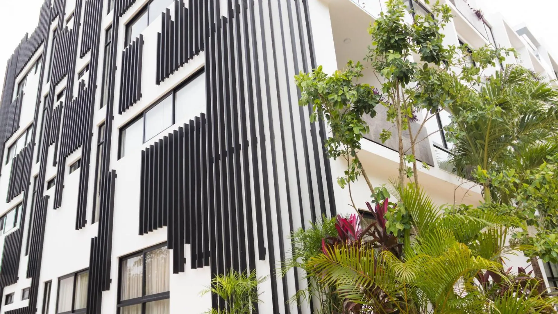 Daire Luxury Rooftop With Private Pool Tulum